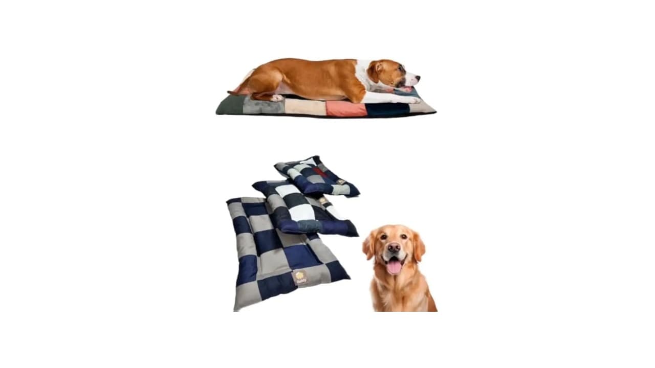 Top 10 Melhores Cama para Cachorro Grande Lavável: Conforto e Durabilidade em 1 SÓ Produto