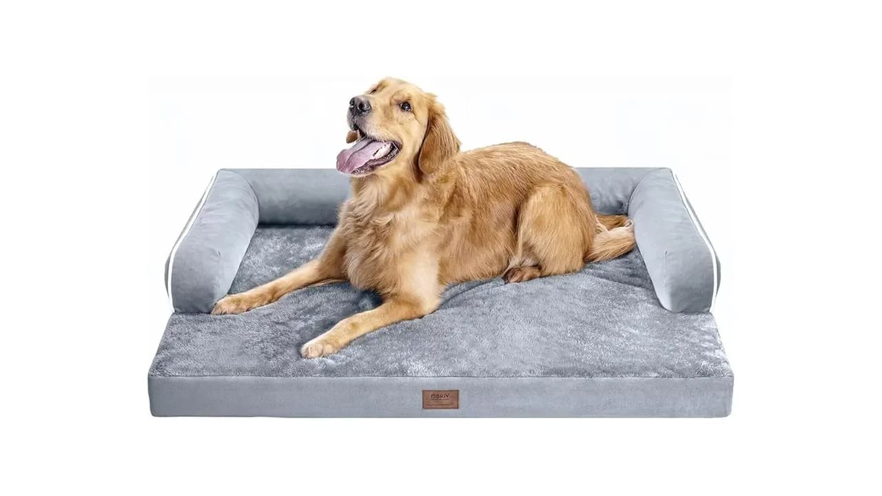Top 10 Melhores Cama para Cachorro Ortopédica: Conforto que Seu Pet Merece!