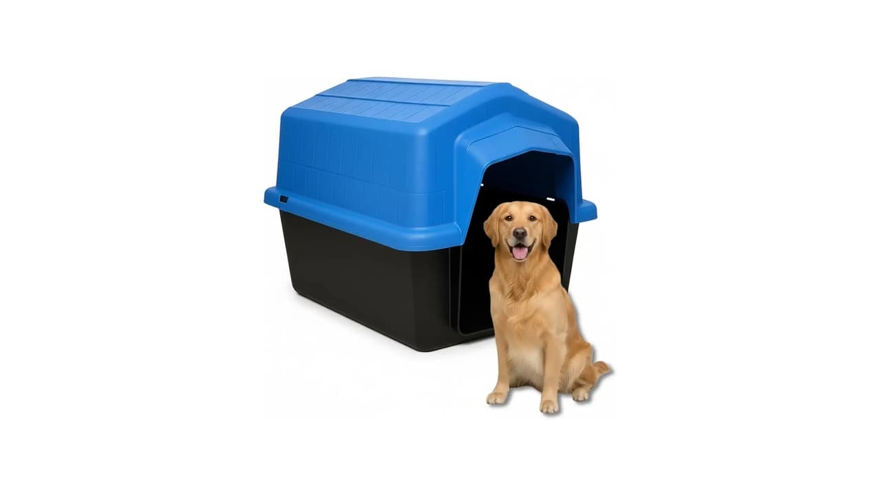 Top 10 Casinhas para Cachorro Grande: Conforto e Durabilidade para Seu Pet