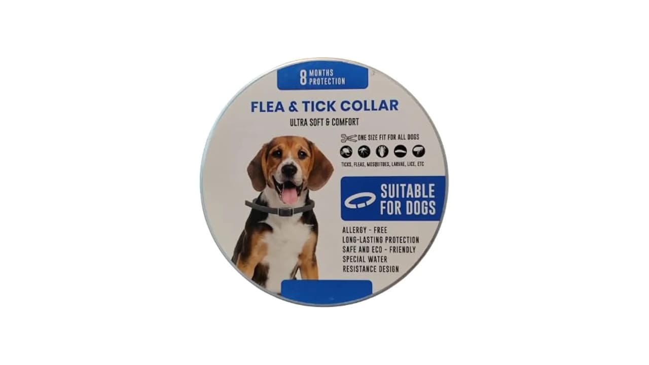 Top 10 Melhores Coleiras Repelentes de Mosquito para Cachorro: Proteção 8 Meses