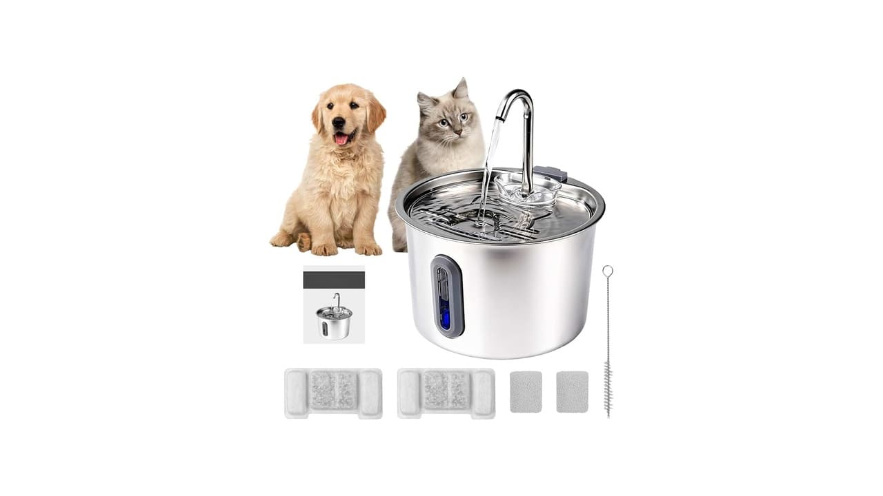 Top 10 Melhores Fontes de Água para Gatos: Silêncio, Filtragem e LED