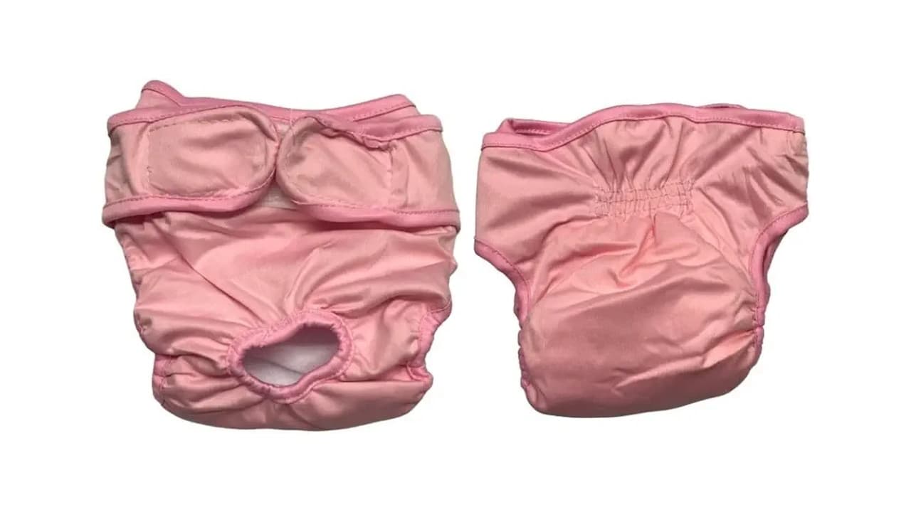 Top 10 Melhores Fraldas Higiênicas para Cachorro: Qual a Ideal para Seu Pet?