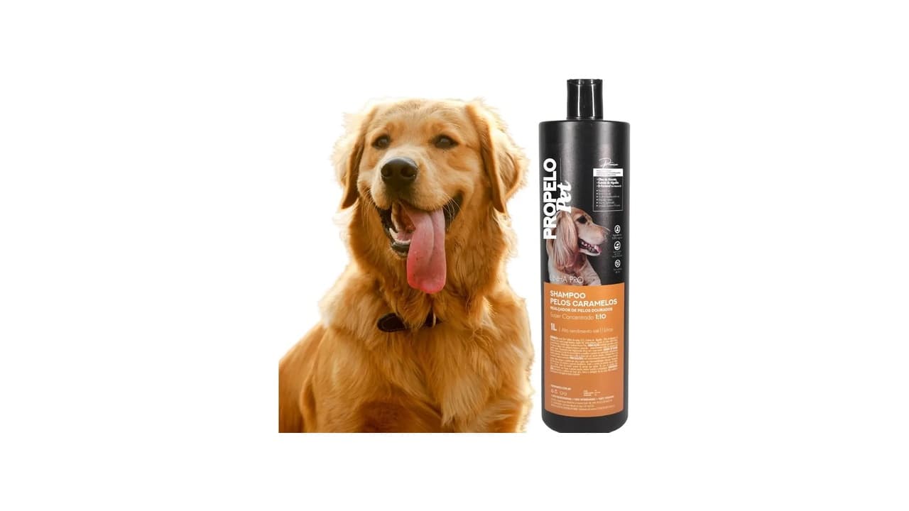 Top 10 Melhores Shampoo para American Bully: Qual Ideal para Pelos e Pele Sensível?