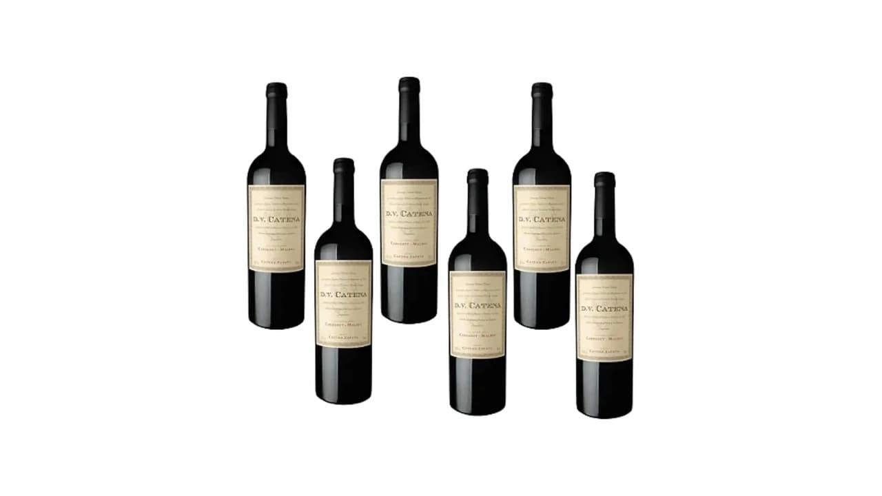Qual o Melhor Vinho Argentino Malbec? Top 10 para Saborear em 2026