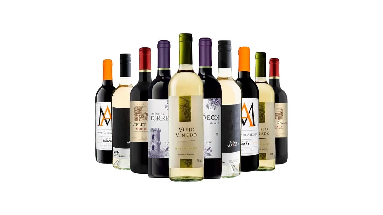 Top 10 Melhores Vinhos Argentinos: Qual Tem o Melhor Custo-Benefício?