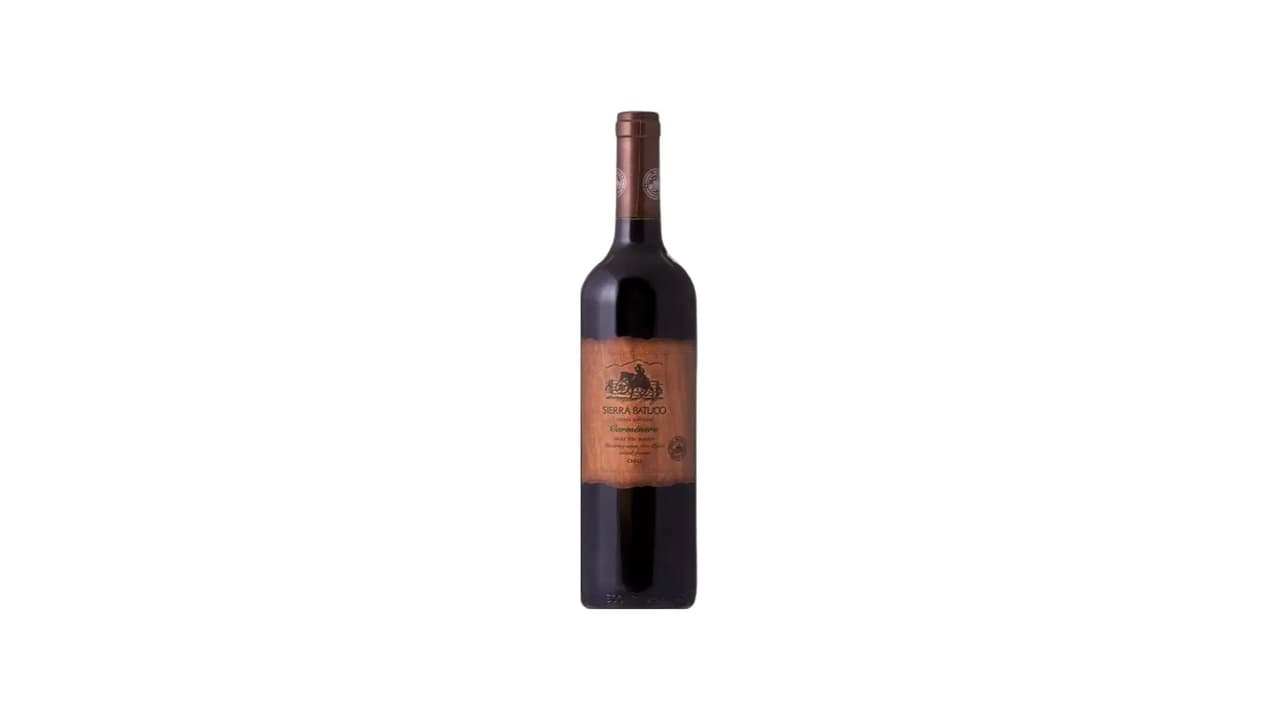 Top 10 Melhores Vinhos Chilenos com Relação Custo-Benefício