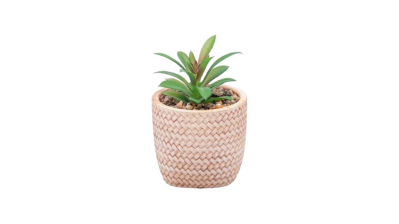 Top 10 Melhores Cachepot: Qual o Ideal para Sua Decoração e Plantas?