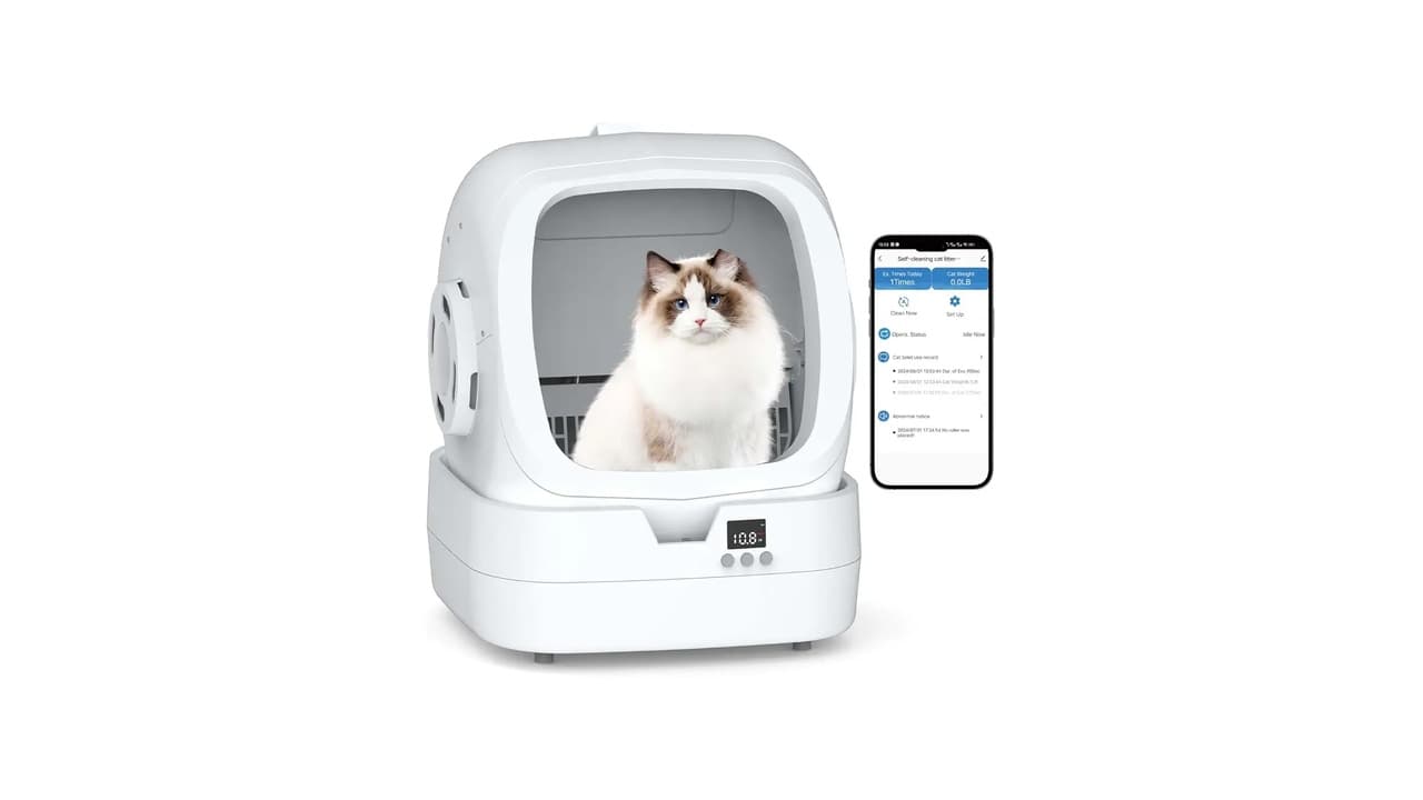 Top 10 Melhores Caixas Automáticas para Gato: Qual a Ideal para Seu Pet?