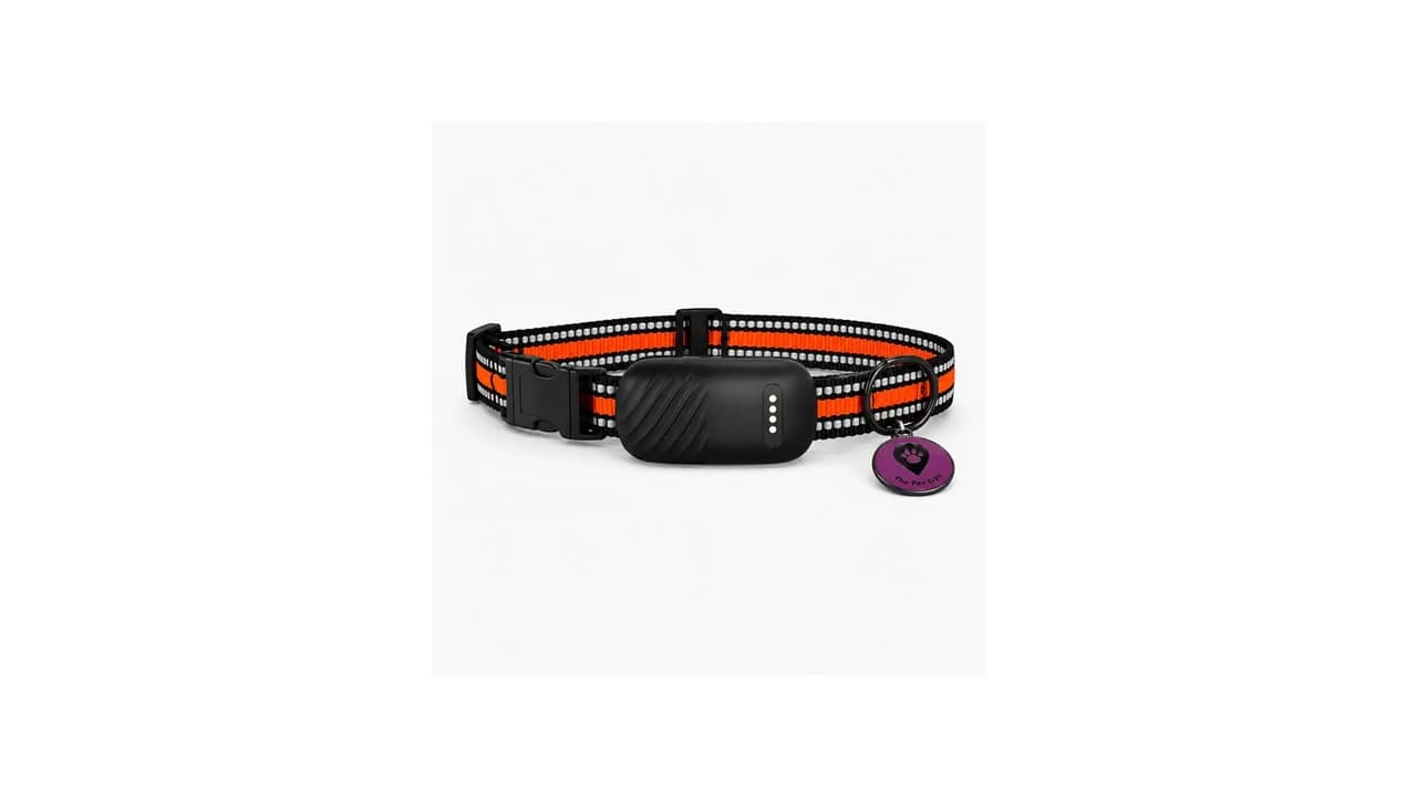 Top 10 Melhores Coleiras GPS para Cachorro e Gato sem Mensalidade: Qual Escolher?