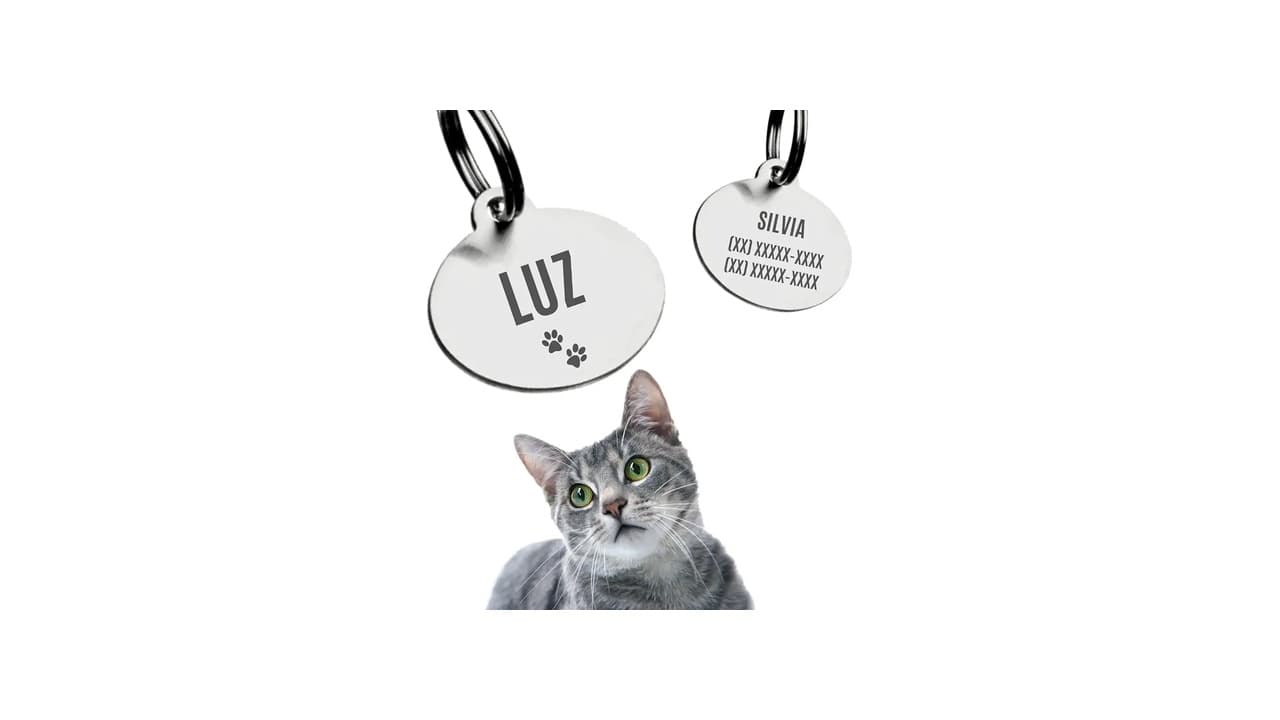 Top 10 Melhores Coleiras com Plaquinha Personalizada: Segurança e Estilo em 1 Click