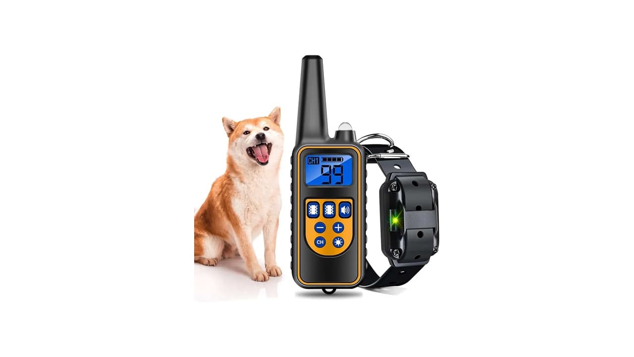 Top 10 Melhores Coleiras de Adestramento para Cachorro: Controle Efetivo e Segurança