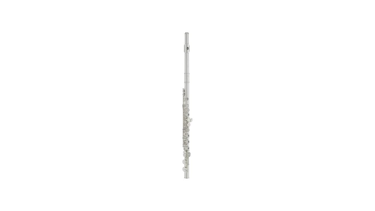 Top 10 Melhores Flauta Transversal Profissional: Qual a Ideal para Você?