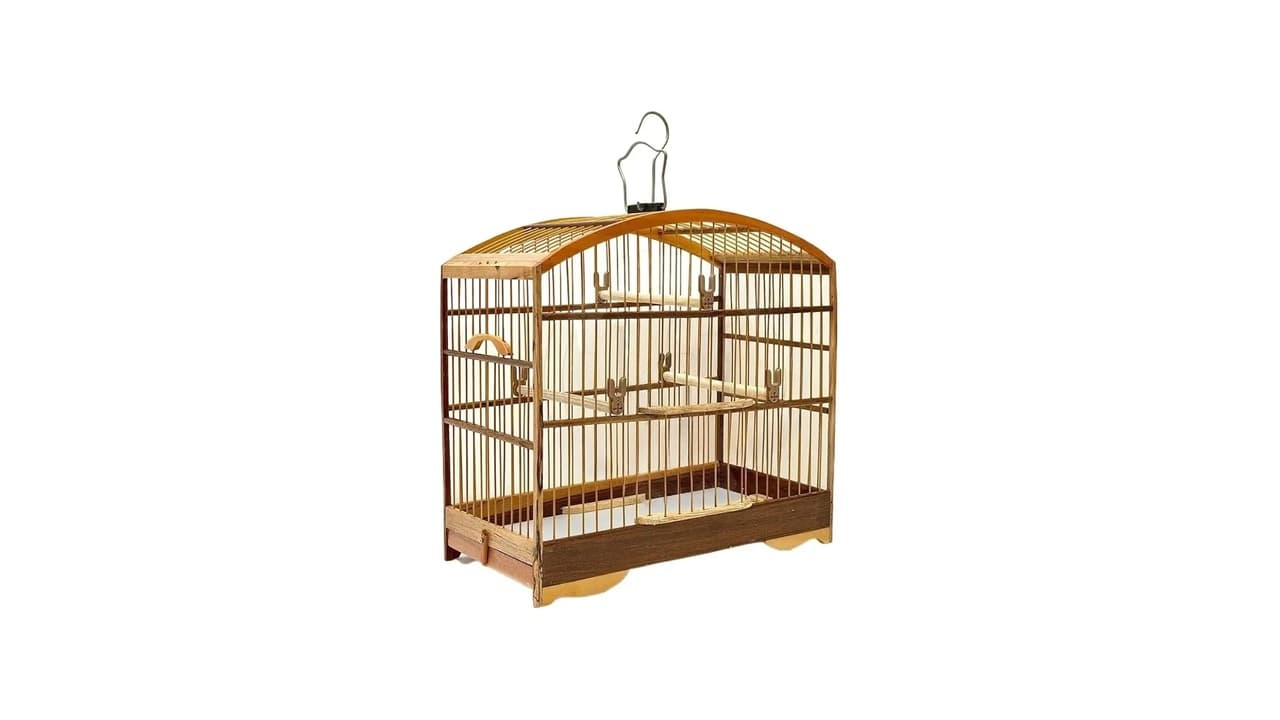 Top 10 Melhores Gaiola Coleiro: Qual a Ideal Para Seu Pássaro?