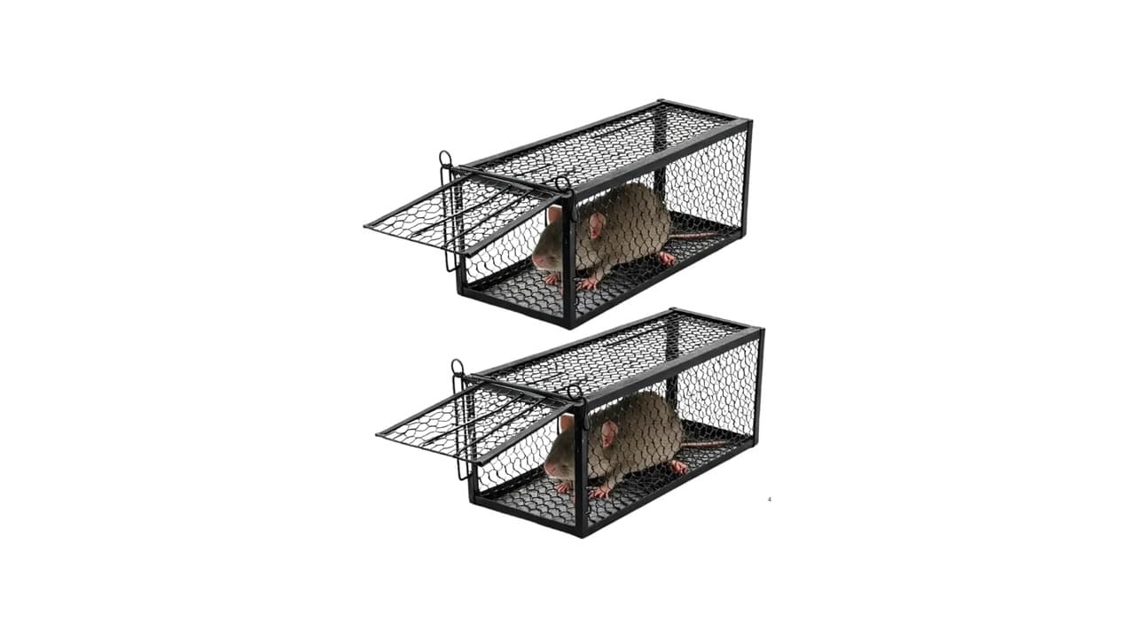 Top 10 Melhores Ratoeira para Ratos Grandes: Segura e Reutilizável!