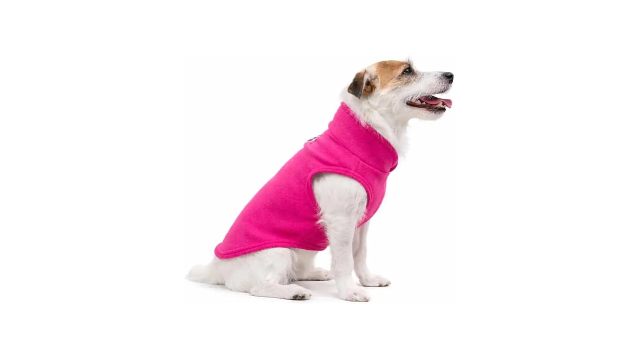 Top 10 Melhores Roupas de Inverno para Cachorro de Porte Grande: Conforto e Proteção Essenciais!
