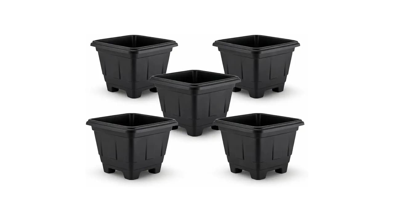 Top 10 Melhores Vasos de Polietileno para Plantas Grandes: Resistência e Estilo em Destaque