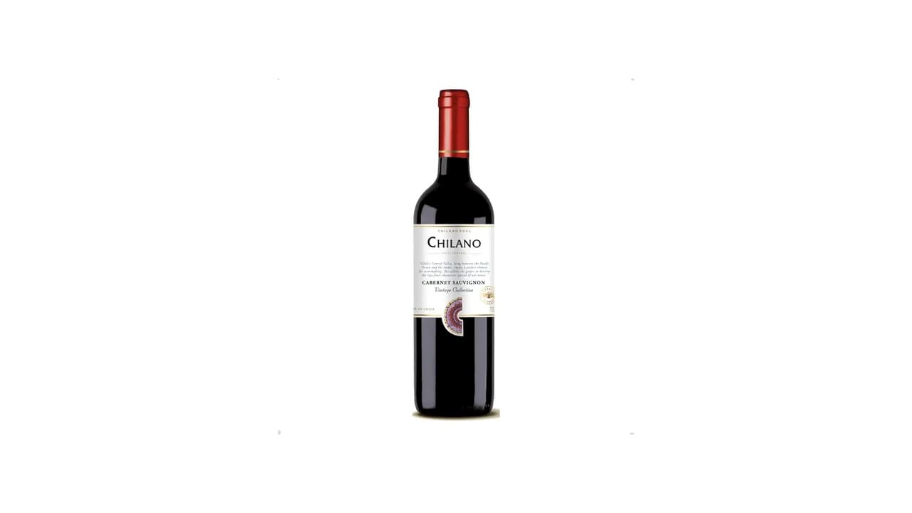 Top 10 Melhores Cabernet Sauvignon Chilenos: Qual o de Melhor Custo-Benefício?