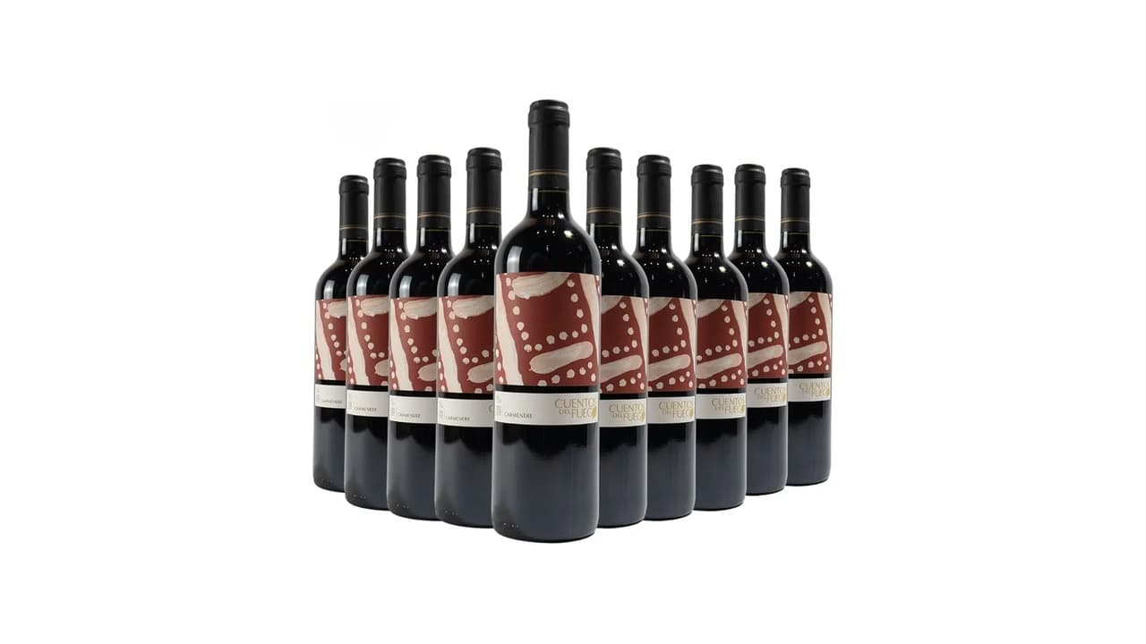Top 10 Melhores Vinhos Chilenos Carménère: Qual Vale a Pena Comprar?