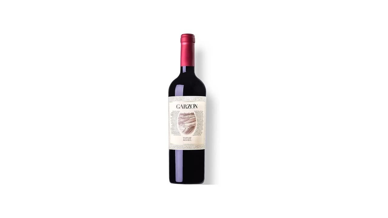 Top 10 Melhores Vinhos Tannat Uruguaio: Qual o Ideal para o Seu Paladar?