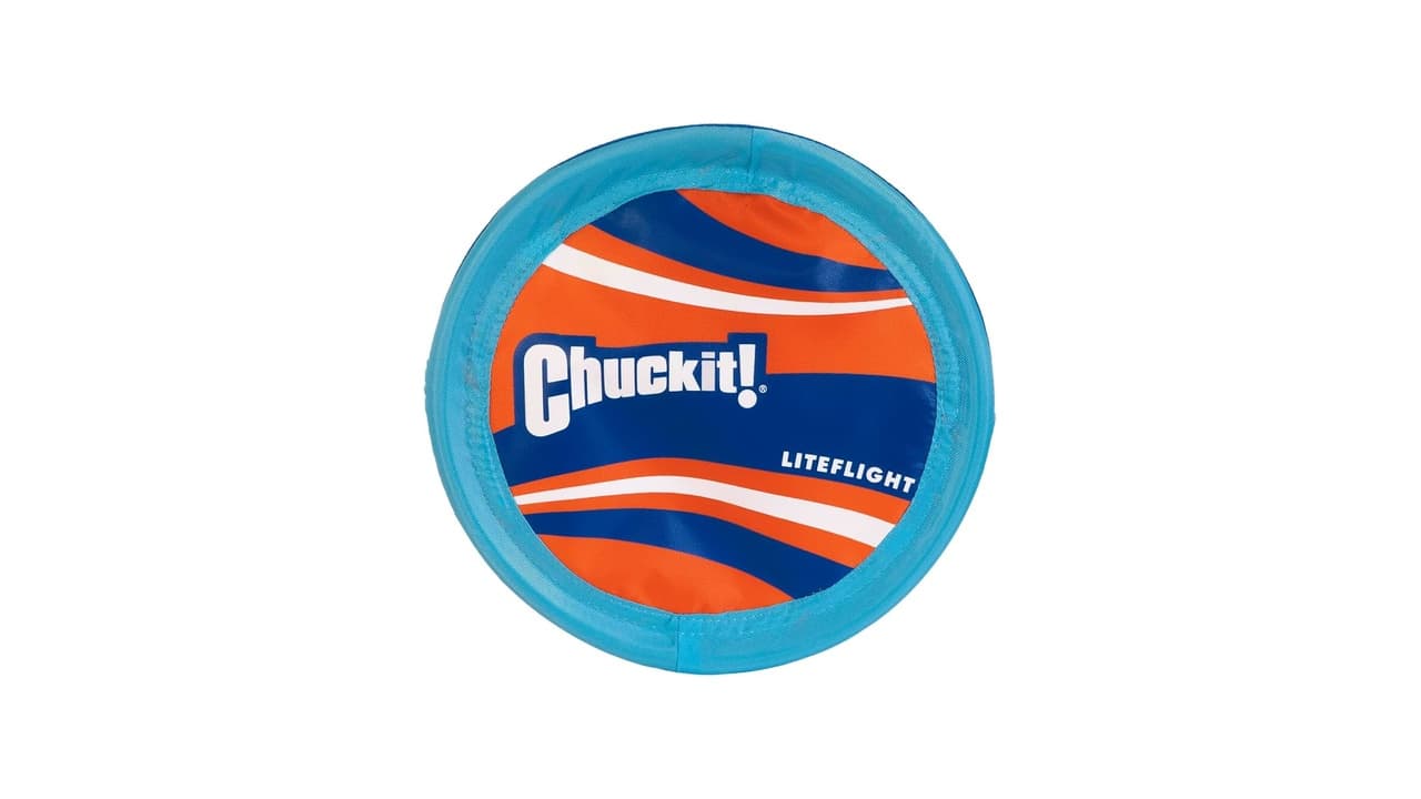 Top 10 Melhores Frisbee para Cachorro: Qual o Mais Durável e Seguro?