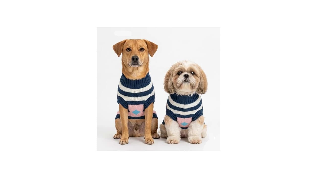 As 7 Melhores Roupas de Inverno para Gato: Conforto e Estilo em Destaque!